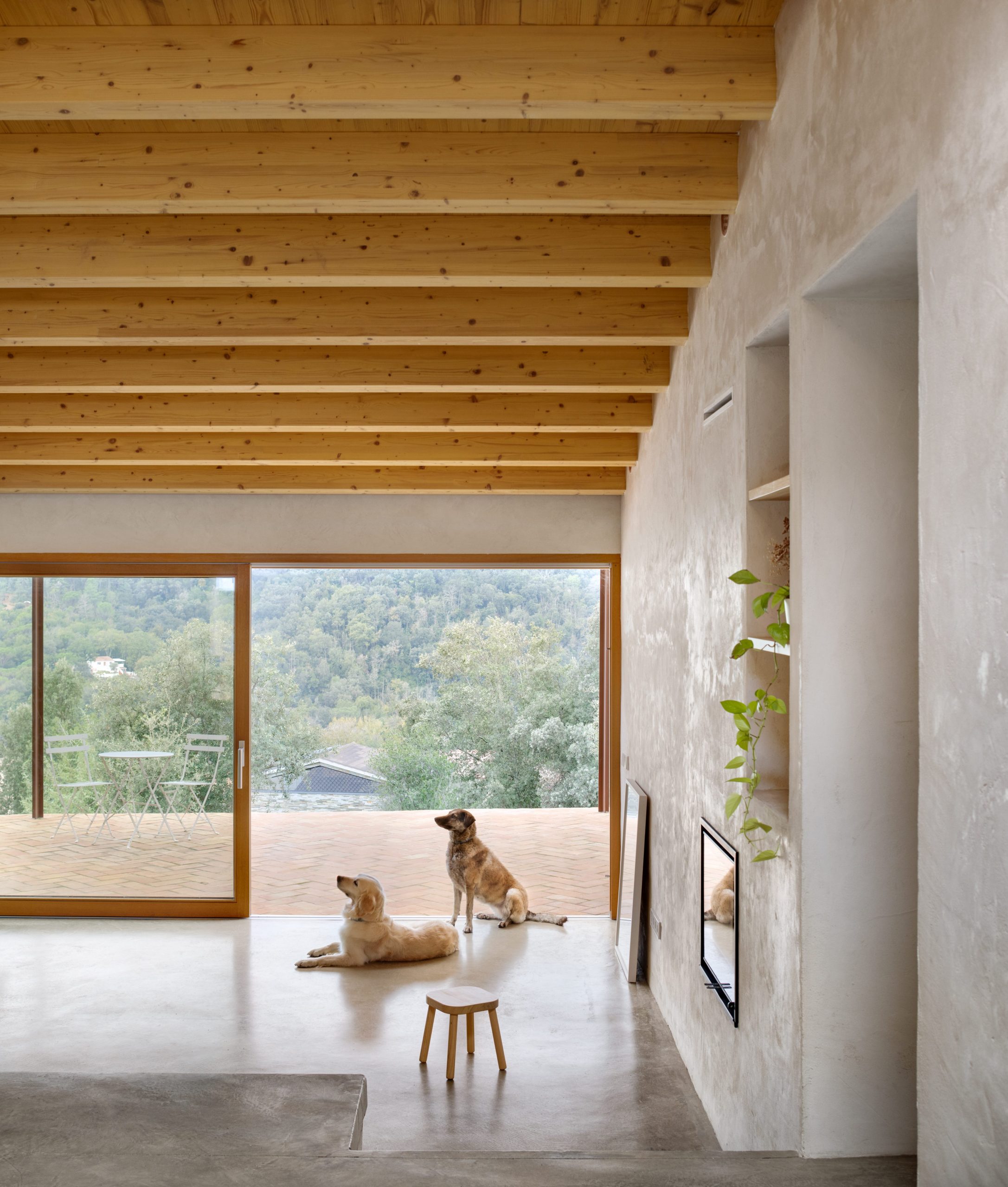Casa Boratuna